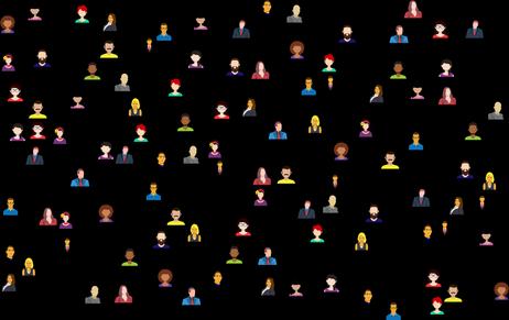 Alumni Networks and Career Outcomes
