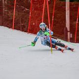 Proctor Academy Photo #11 - Proctor's USS/FIS Eastern Alpine program develops elite racing skills on our own Proctor Ski Area.