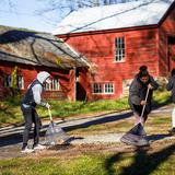 The Putney School Photo #15 - Each fall and spring, students, faculty, and staff spread out across campus to prepare garden beds, clear trails, repair outdoor furniture, rake leaves, split wood, and paint barns and buildings. Work Day is a chance to care for the campus together while experiencing the satisfaction of shared physical work done in good company.
