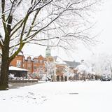 Ridley College Photo #14