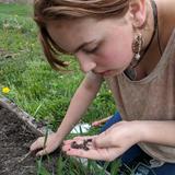 Rock Point School Photo #7 - Biology class in the garden!