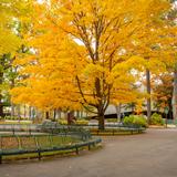 Interlochen Arts Academy Photo #6