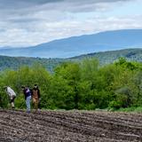 The Mountain School of Milton Academy Photo #2 - Working on the farm is a daily hands-on experience where students care for animals, tend crops, and learn the rhythms of sustainable living.