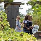Principia School Photo #30 - On-site gardens reinforce values of stewardship, instill a love for service, and promote sustainability on campus.