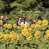 Hershey Montessori School Photo #21 - Our 97-acre campus serves as an outdoor classroom for students and guides.