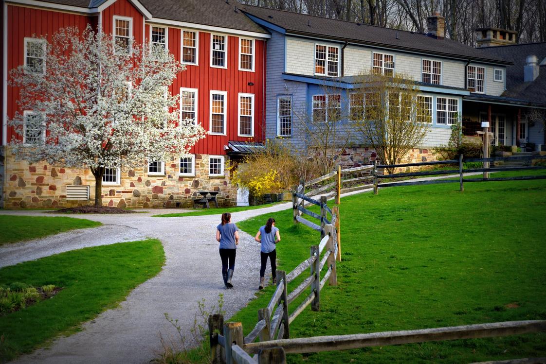 Hershey Montessori School Photo #15 - Hershey's Adolescent Program has a work and study process that emerges from integrated, project-based classes and community contribution.