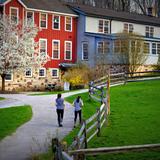 Hershey Montessori School Photo #16 - Hershey's Adolescent Program has a work and study process that emerges from integrated, project-based classes and community contribution.