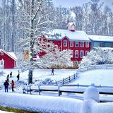 Hershey Montessori School Photo #13 - The 97-acre campus is beautiful in every season. Multiple buildings, gardens, trails, barns, and more, provide a unique environment to live, study, work, and grow. Even the staff feel fortunate to be here!