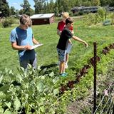 Hershey Montessori School Photo #14 - The farm provides Hershey adolescents daily opportunities to handle adult-like responsibilities by giving them real-life experience in social organization, solving the community's challenges, and addressing its fundamental needs, including those that are social, environmental, physical, or intellectual in nature.